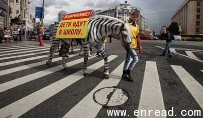 People participate in an event staged by traffic police to raise road safety awareness amongst school children in Moscow. The event, featuring horses painted with zebra markings was staged to encourage children to use zebra crossings.