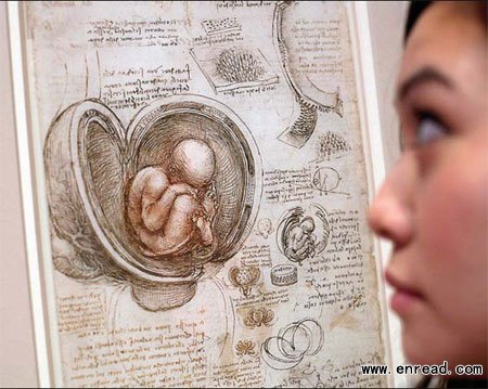 An employee of the Queen's Gallery looks at an ink drawing by Leonardo da Vinci titled Studies of the Foetus in the Womb (around 1510-13) at the 'Leonardo da Vinci: Anatomist' exhibition in the gallery of Buckingham Palace, London, on Monday.