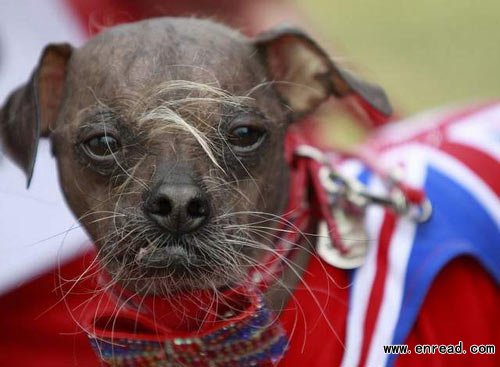 A British dog named Mugly has taken the title of the World’s Ugliest Dog at the annual contest, which was held in Northern California on Friday.