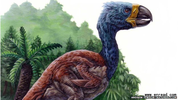 The giant flightless Diatryma: unequipped to be a carnivore?