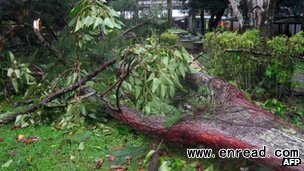 Trees were felled in the Fijian capital, Suva, as the storm approached