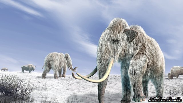 The traditional view of the woolly mammoth as a <a href=