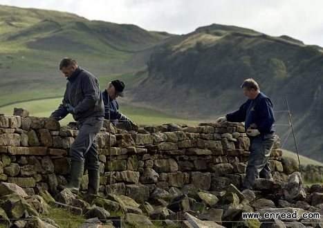 The wall runs for more than 80 miles across the hills of northern Britain