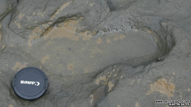 The footprints on Happisburgh beach are possibly those of a family in search of food