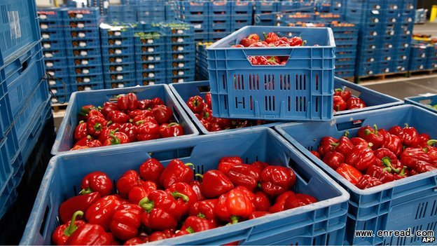  Dutch peppers: Withdrawing some produce from sale is meant to prevent the price crashing