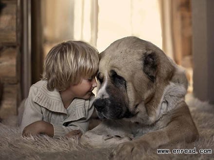 A young boy rests his head against his loyal companion as they snuggle up together on a <a href=