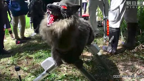 日本人制造机器狼看护田地