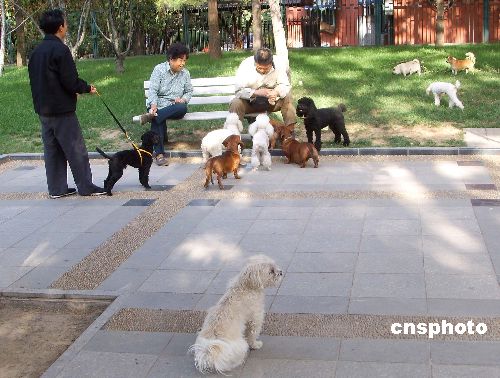 Rabies epidemic rising in China