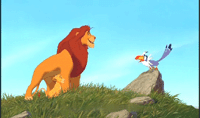 ʨ Lion King ӰӶ԰