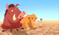 ʨ Lion King ӰӶ԰